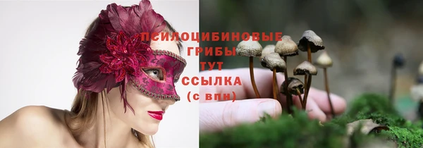 спиды Горнозаводск