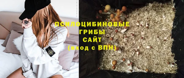 спайс Горно-Алтайск