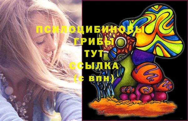спиды Горнозаводск
