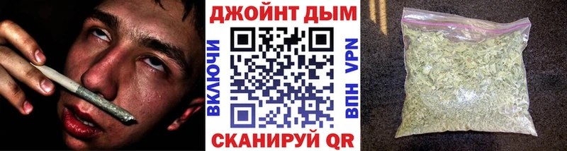 закладка  Кириллов  Конопля план 